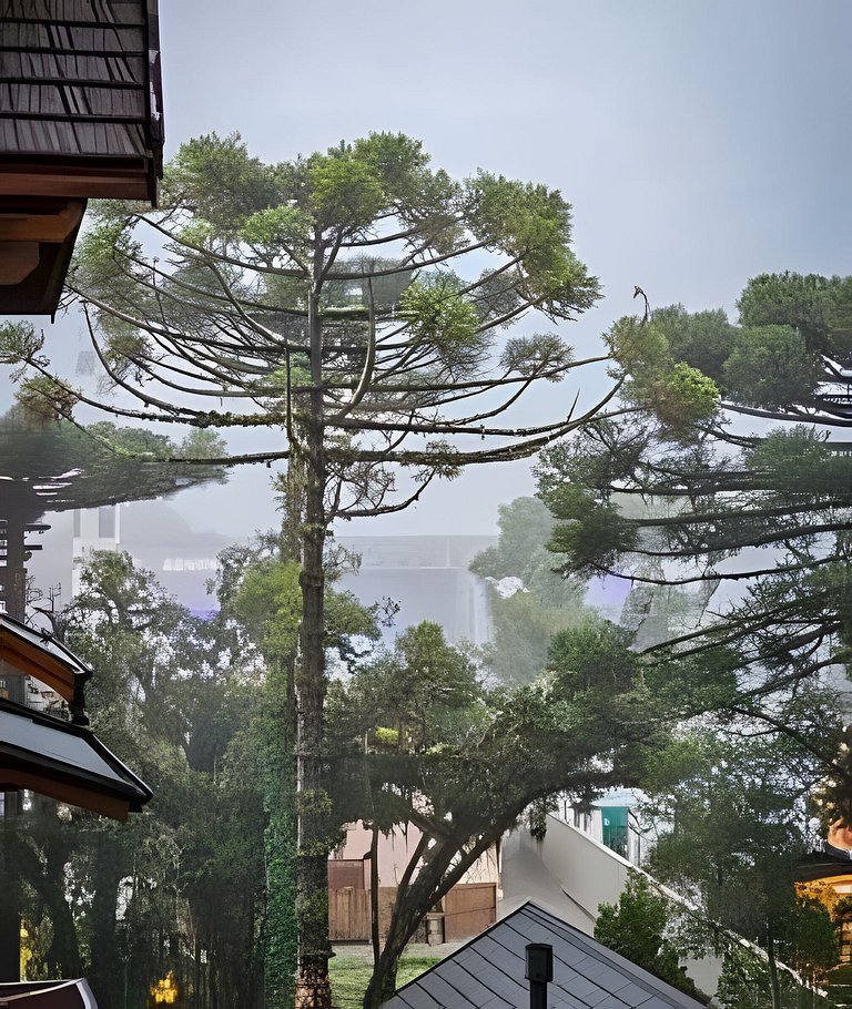 Linda vista para Roda Gigante | By @stayo.gramado