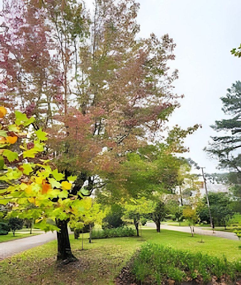 Laje de Pedra Canela | By @stayo.gramado