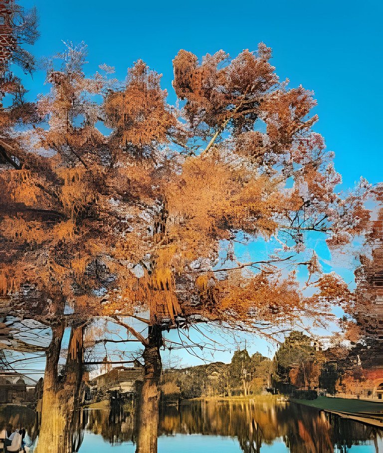 Laje de Pedra Canela | By @stayo.gramado